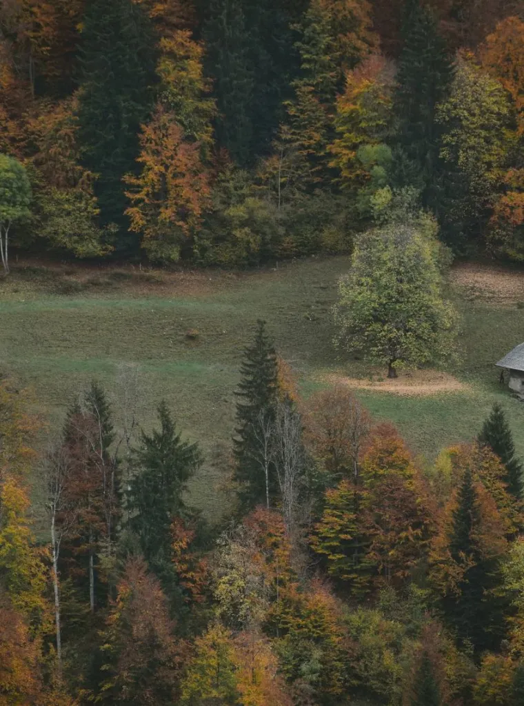 A small timber cabin among autumn trees