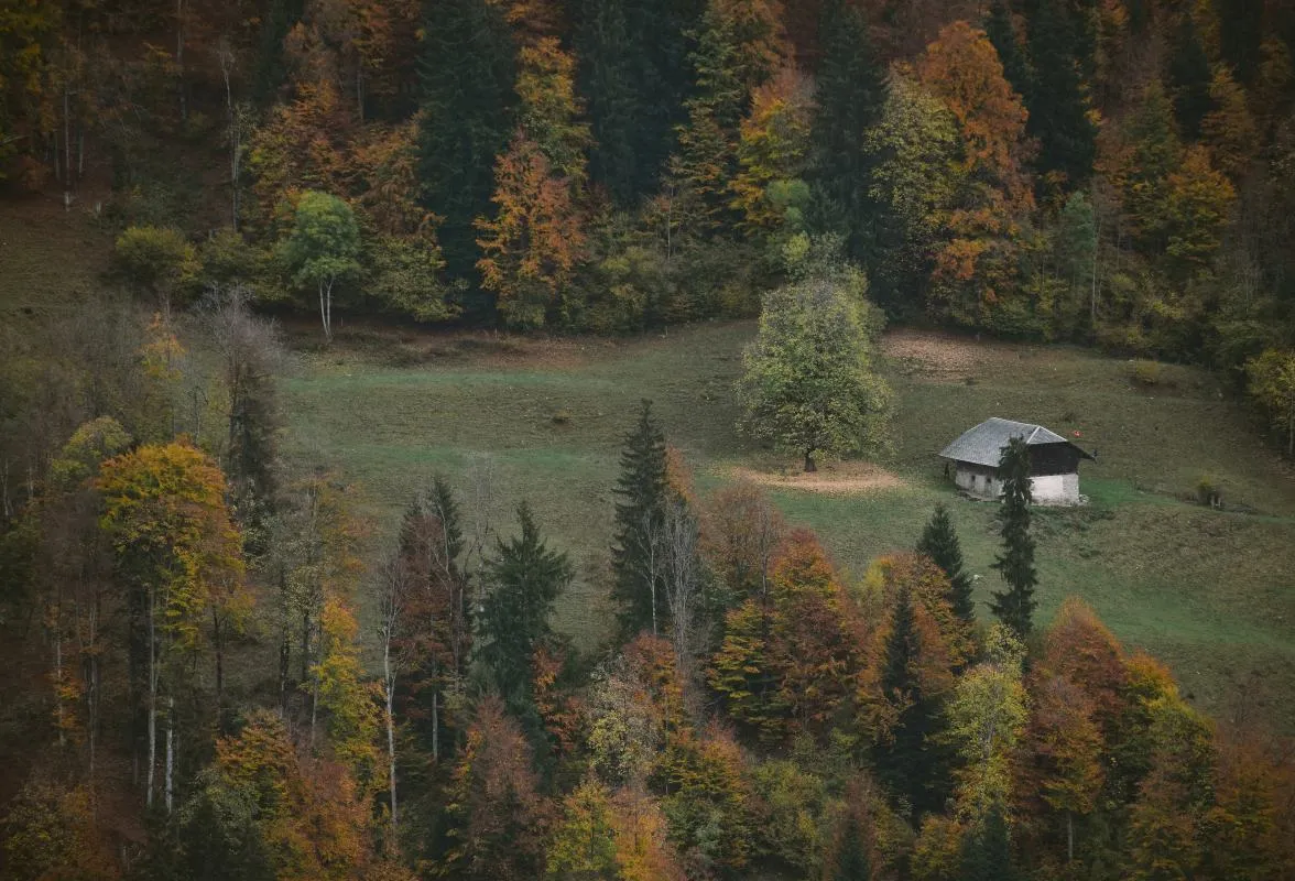 Cabin among autumn trees, Switzerland