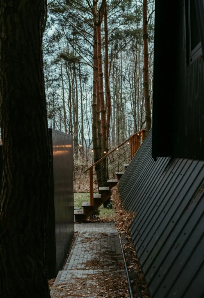 A timber walkway leading between the trees