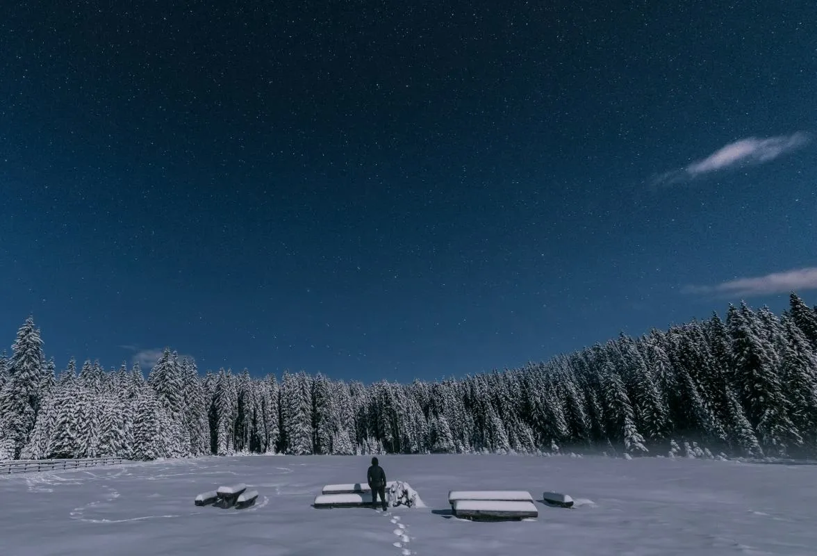 Pokljuka in winter, Slovenia